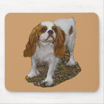 Spaniel Mousepad