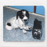Spaniel Puppy Photographer Mousepad