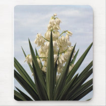 Spanish Bayonet in Bloom Mouse Pads
