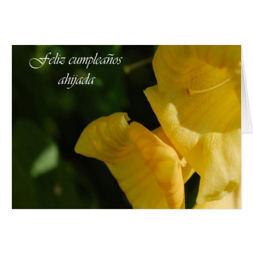 spanish-birthday-card-for-goddaughter-zazzle