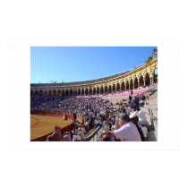 Spanish Bullfight posters by PhotoMan21 Spanish Bullfight posters