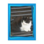 Spanish cat postcard 3