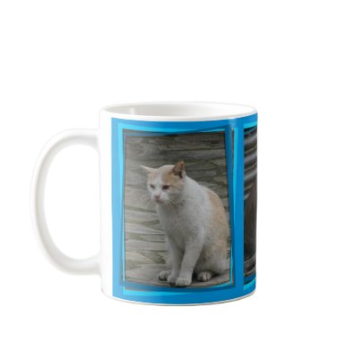Spanish cats Mug by mmersdesign