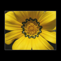 spanish delite postcards