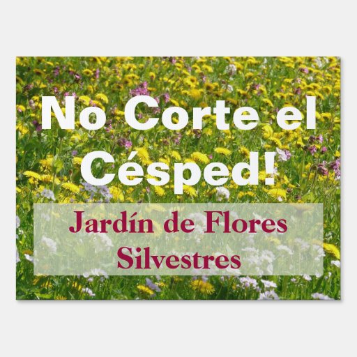 Mow The Lawn In Spanish