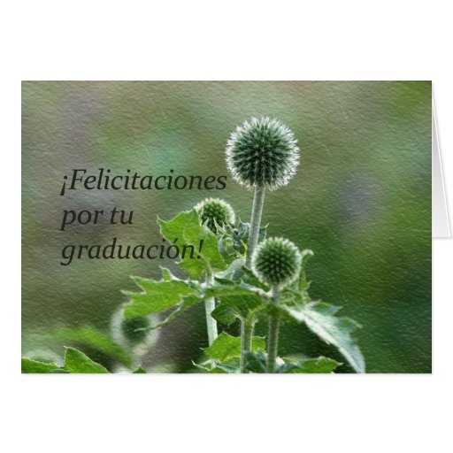 spanish-graduation-card-zazzle