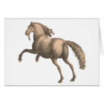 Spanish Horse - Greeting Card