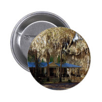 Spanish Moss, Micanopy, Florida buttons