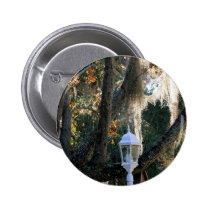 Spanish Moss, Micanopy, Florida buttons