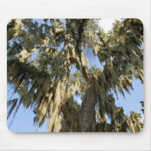 Spanish Moss Mousepad