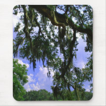 Spanish Moss Mousepads