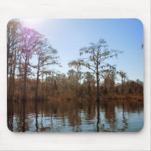Spanish Moss Reflections Mouse Pad