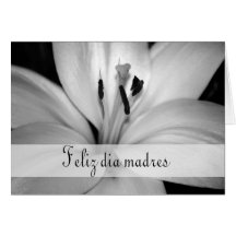 Spanish Mother's Day Card