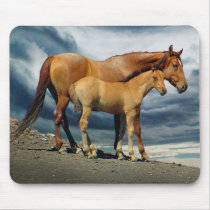 Spanish Mustang Mare mousepads