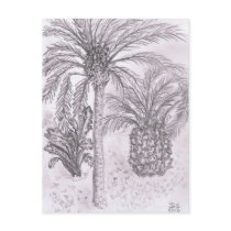 Spanish Palm Trees Post Cards