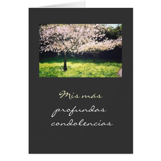 Spanish Pesame /Sympathy Card Zazzle