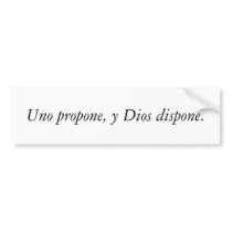 Spanish Quotes Bumper Stickers