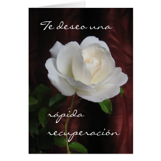 spanish-recuperaci-n-get-well-soon-card-zazzle