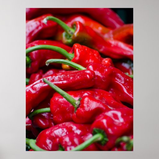 Spanish red Peppers Posters Zazzle