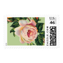 Spanish Rose B by Ceci New York Postage