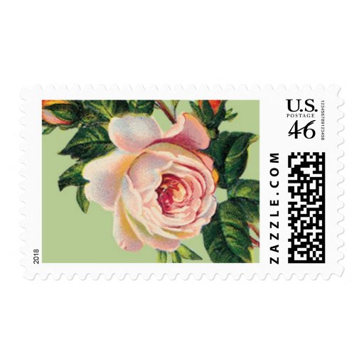 Spanish Rose B by Ceci New York Postage