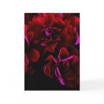 Spanish Rose - Greetings Card 2
