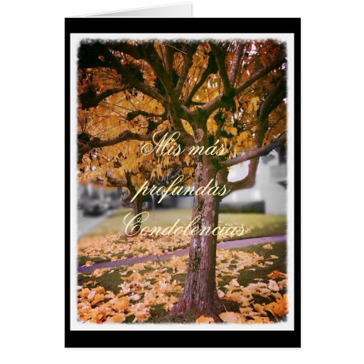 spanish-sympathy-card-zazzle