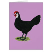 Spanish:  White-faced Hen Greeting Card