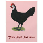 Spanish:  White-faced Hen flyers