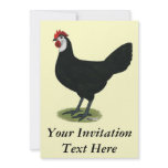 Spanish:  White-faced Hen Personalized Announcement