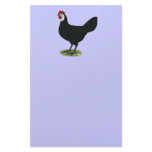 Spanish:  White-faced Hen Customized Stationery