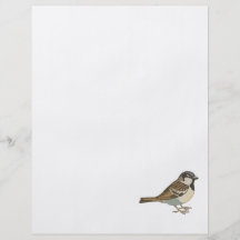 Spanny Sparrow Personalized Flyer
