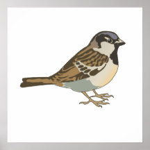 Spanny Sparrow Print