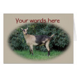 Sparkle106-customize any occasion cards