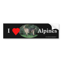 Sparkle Bumpersticker-customize Bumper Stickers