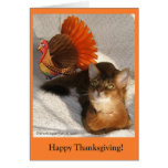 Sparkle Thanksgiving Kitty Card