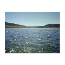 Sparkles Postcard by KingDaddy Sparkles Postcard