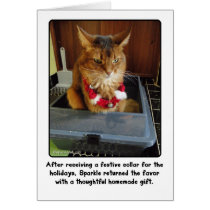 Sparkle's Thoughtful Holiday Gift Card cards