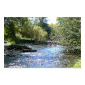 Sparkling Bear Creek posters by codfishlady Sparkling Bear Creek posters