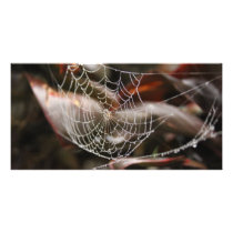 Sparkling Spider Net Personalized Photo Card