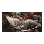 Sparkling Spider Net Personalized Photo Card