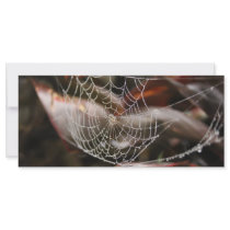 Sparkling Spider Net Rack Cards