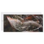 Sparkling Spider Net Rack Cards
