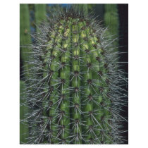 Sparkling Thorns Personalized Flyer