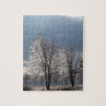 Sparkling Winter Scene Puzzle