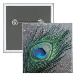 Sparkly Black Peacock Feather Still Life Pinback Button