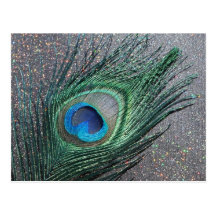 Sparkly Black Peacock Feather Still Life Postcard