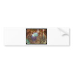 Sparkly Special Bird bumper stickers
