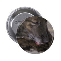 Sparky Buttons