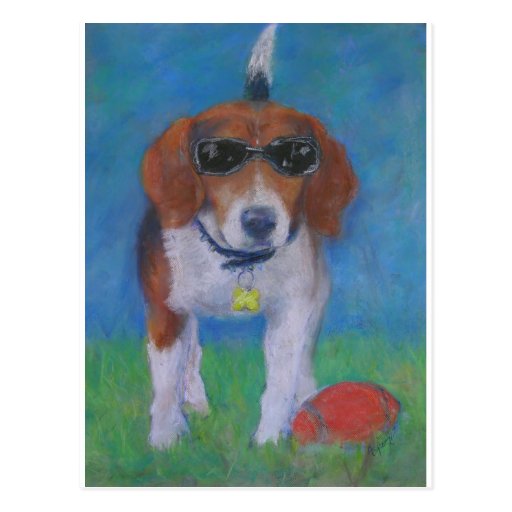 Sparky Dog Cool Dog Post Card